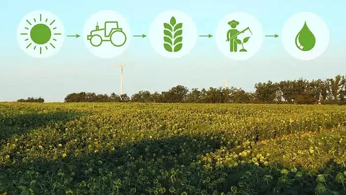 Sürdürülebilir Tarım Nedir? Geleceğin Tarımı Neden Bu Kadar Önemli?